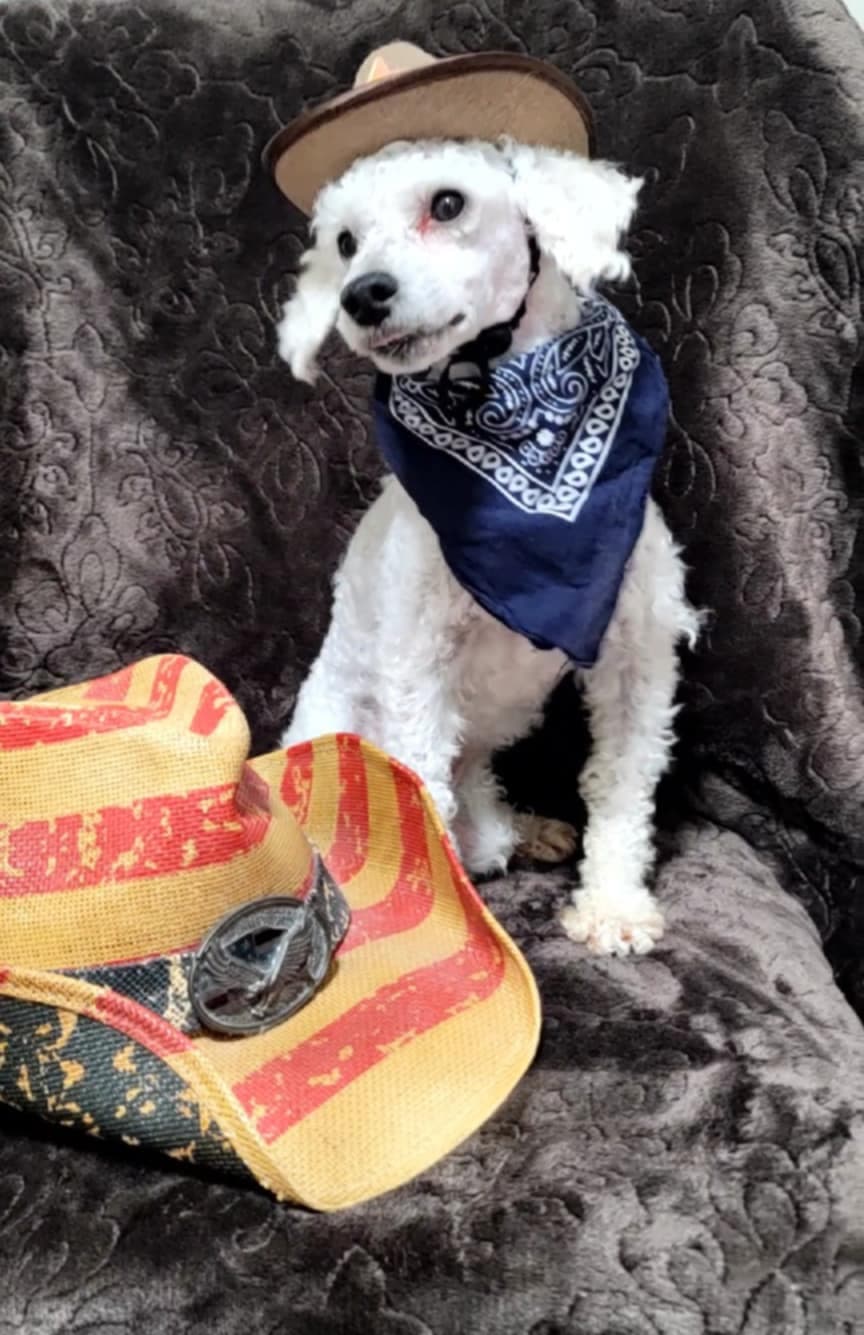 Lowry's Snow's Boogie Boy